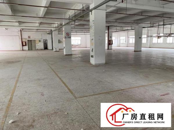 
		六约埔吓路一二楼厂房各1000平，大小分租有装修
	