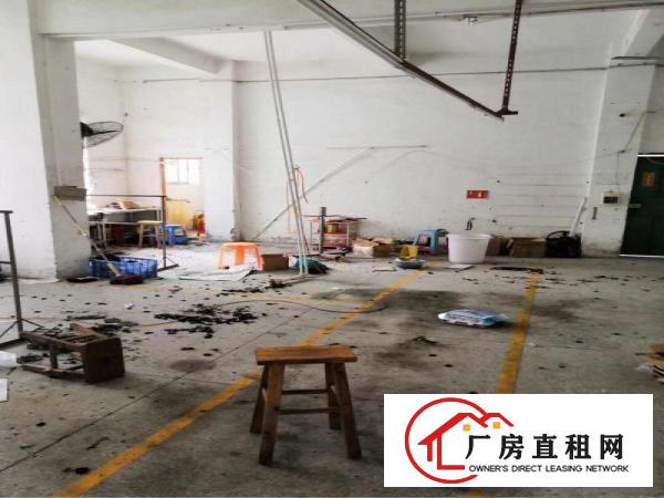 
		横岗大康新出楼上整层460平米出租
	