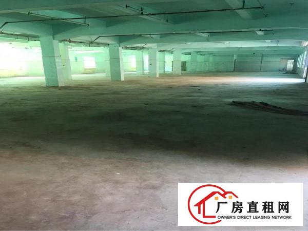 
		塘坑地铁站附近三百米620平米厂房招租
	