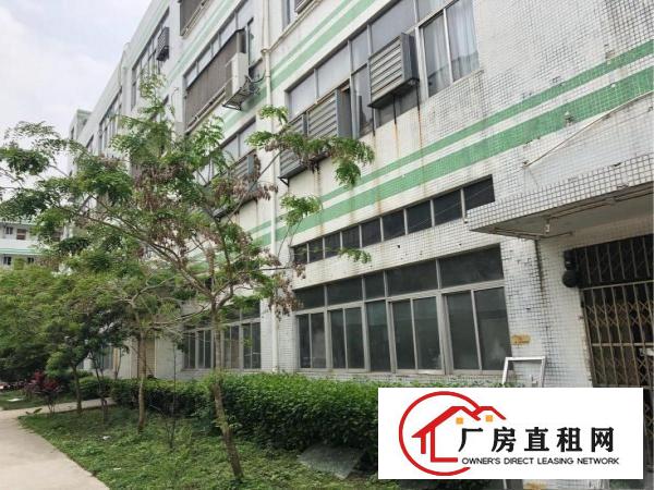 
		横岗六约珠宝首饰生产厂房大小分租
	
