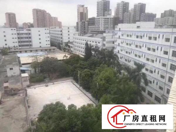 
		塘坑地铁站附近红本独院厂房，交通便利，配套齐全
	