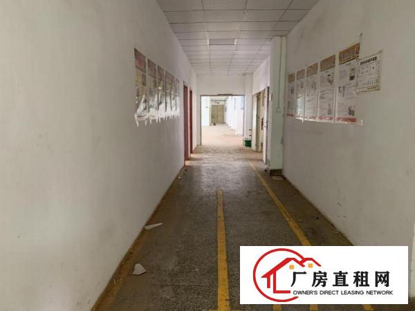 
		大康奔康工业区1200平方带装修，有货梯可分租
	