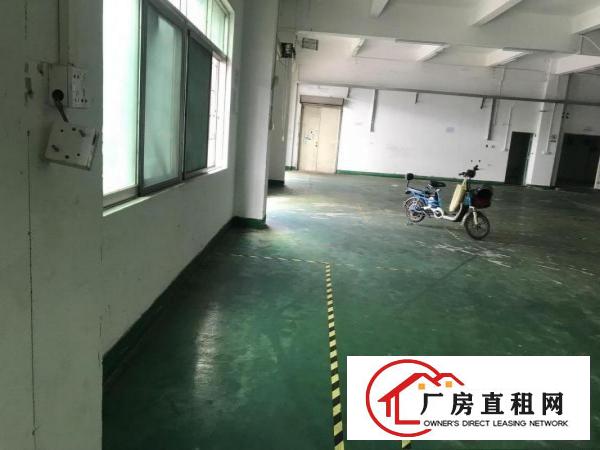
		横岗横坪公路新出原房东一楼900平出租
	