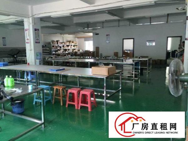 
		安良眼镜厂电子厂带装修1200平米厂房出租
	