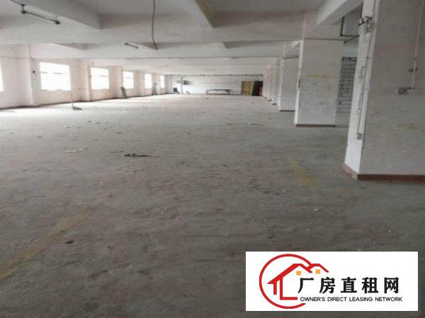 
		横岗大康大万村附近楼上整层面积1600平米厂房出租，大小可分
	