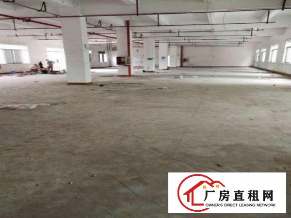 
		横岗大康大万村附近楼上整层面积1600平米厂房出租，大小可分
	