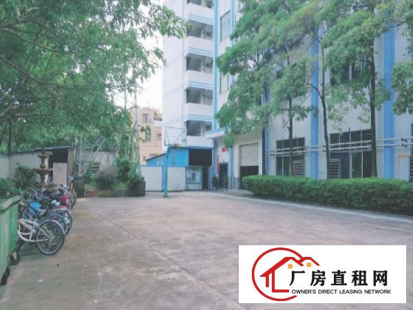 
		龙岗大型工业园原房东红本独院4500平厂房出租空地大可分租
	