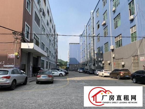 
		228工业区独院6000平方，大小分租，包隔墙带装修
	