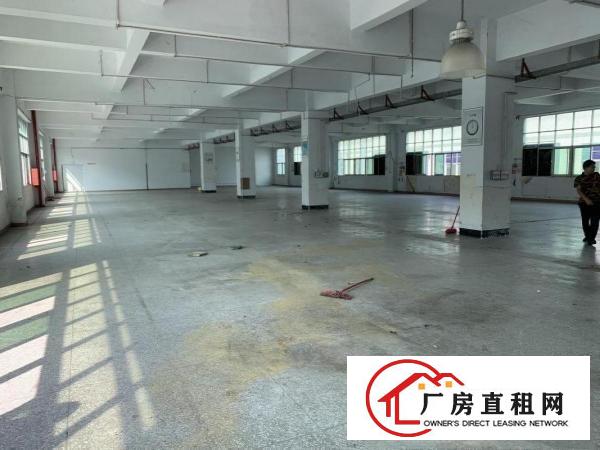 
		228工业区独院6000平方，大小分租，包隔墙带装修
	