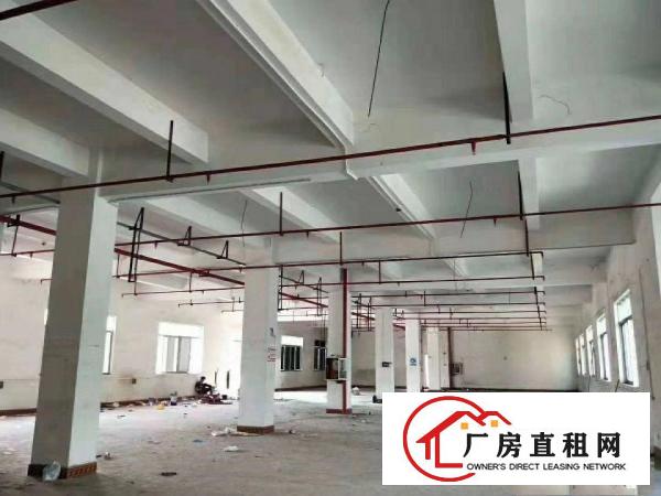 
		横岗荷坳带消防喷淋的厂房一栋单层1200平租16元水电齐全
	
