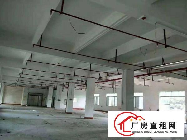 
		横岗荷坳带消防喷淋的厂房一栋单层1200平租16元水电齐全
	