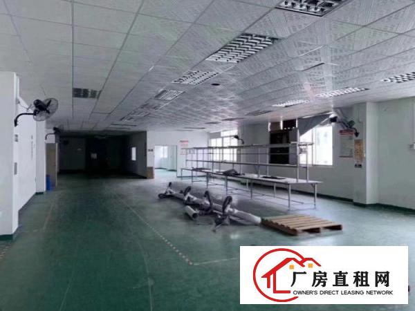 
		横岗四联新出楼上1300平，16元全包，办公室水电齐全
	