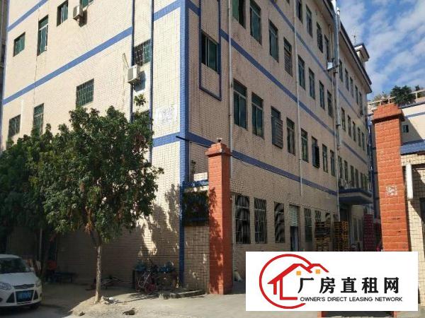 
		原房东厂房1600平出租有简单装修赠送使用
	