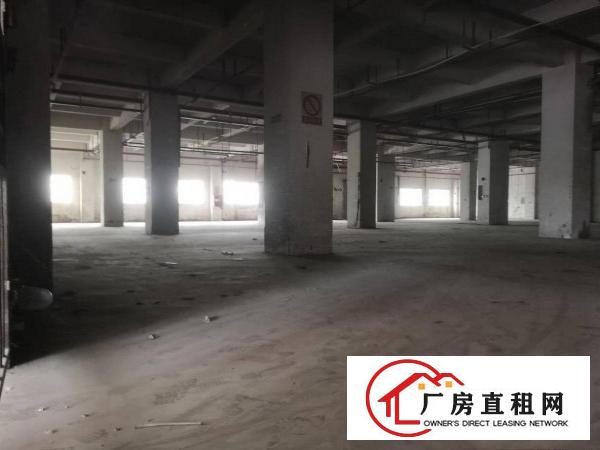 
		横岗红本厂房原房东直租大小5005000平方均可分租
	