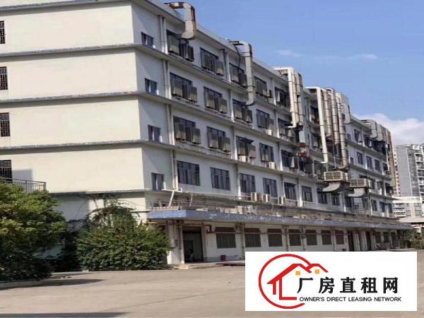 
		六约埔夏路大工业区红本厂房招租，大小面积可分租
	