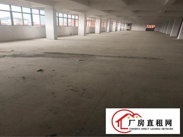 
		塘坑地铁站零距离新出2400平精装修产业园出租
	