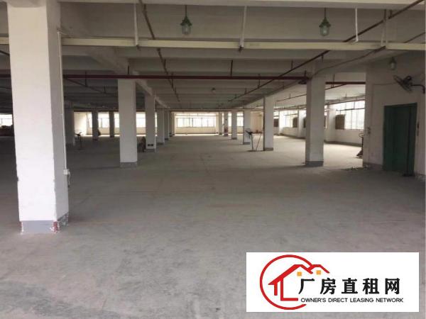 
		塘坑地铁站零距离新出2400平精装修产业园出租
	