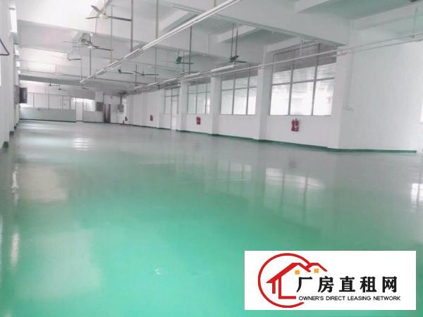 
		平湖罗山工业区新出经典小独院厂房2600平招租（可分租）
	