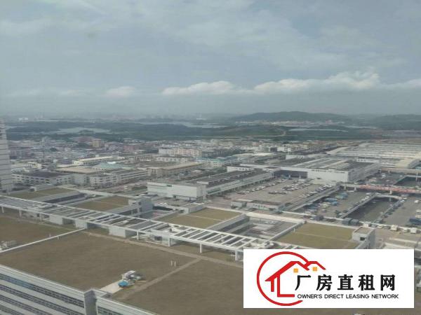 
		平湖白泥坑海吉星附近现成大小冷库出租，23平方起租
	