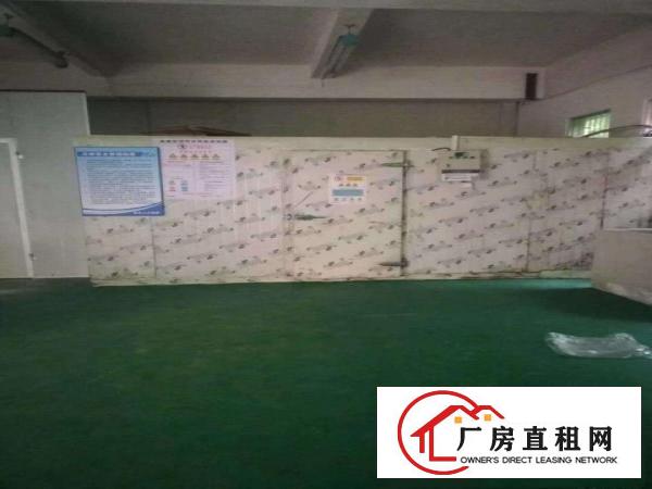 
		平湖白泥坑海吉星附近现成大小冷库出租，23平方起租
	