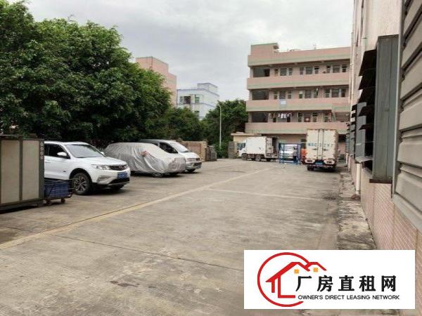 
		平湖宝鹅工业区厂房1500平米
	