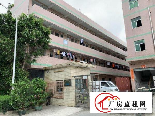 
		平湖宝鹅工业区厂房1500平米
	