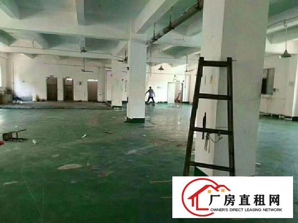 
		平湖标准精美小独院4300平招租（可分租）
	