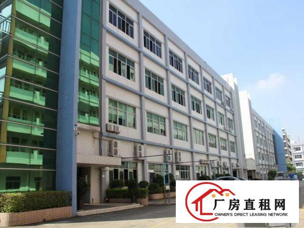 
		凤岗手袋厂分租合租
	