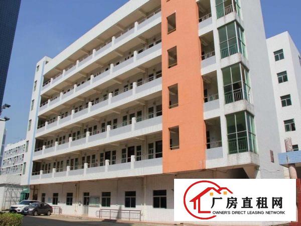 
		凤岗手袋厂分租合租
	
