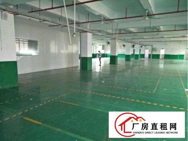 
		平湖华南城原房东二楼1800平米出租大小可分急租
	