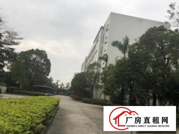 
		平湖整层1300平带缷货平台厂房招租可分
	