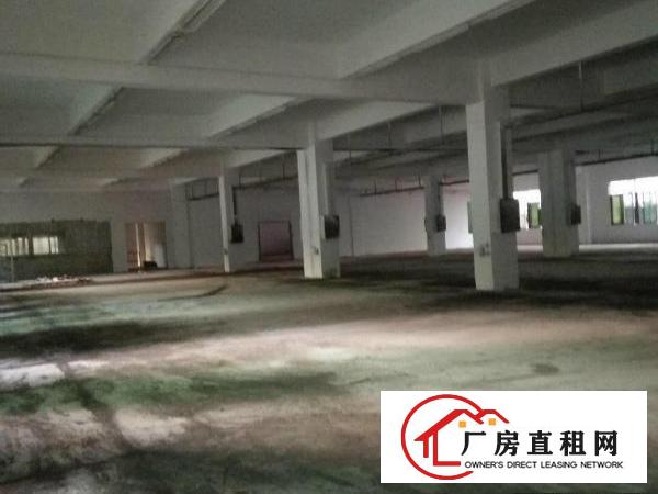 
		平湖辅城坳带装修二楼1000平方厂房
	