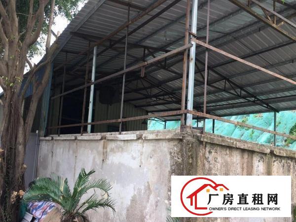 
		出租龙岗区平湖榄树下工业区独立院子停车方便
	