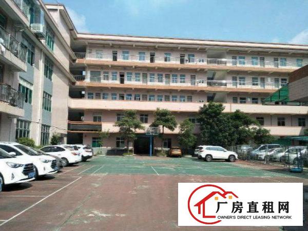 
		平湖原业主三楼带装修2500平方
	