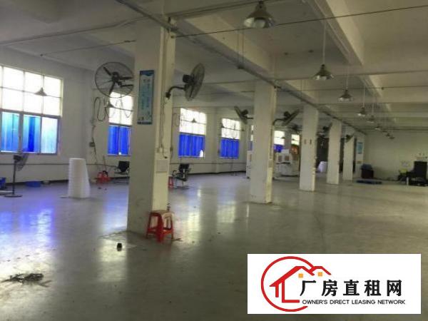 
		平湖新出一楼标准厂房1000平方价格实惠
	