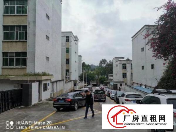 
		雁田塑胶电子无尘车间出租1000平方大小可分租
	