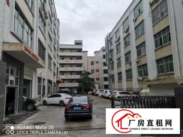 
		雁田塑胶电子无尘车间出租1000平方大小可分租
	
