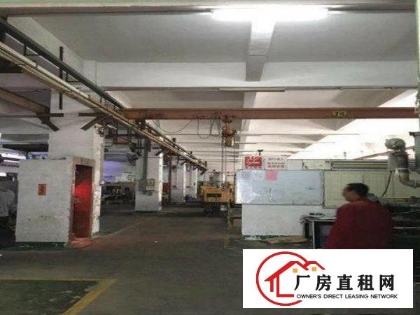
		平湖原房东厂房1楼1000平2楼3000平出租可分租
	