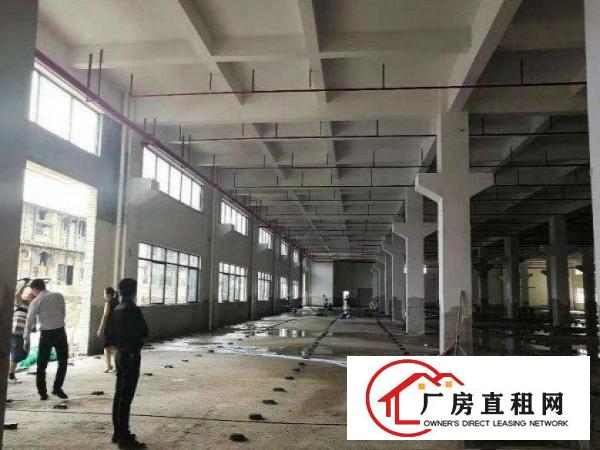 
		平湖标准一楼1183平米出租可分租
	