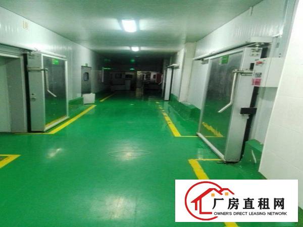 
		平湖白泥坑海吉星附近50平，100平200平独立冷库出租
	