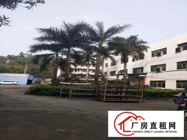 
		沙浦围一楼1080高5.5米厂房带红包可办环评
	