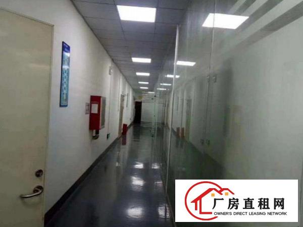 
		红本2000平仓库厂房招租可分租
	