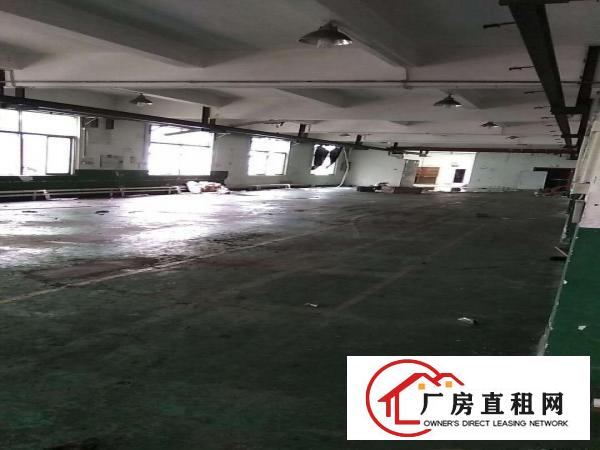 
		平湖华南城高速路口3栋独门独院出租，每栋6500平方，形象好
	