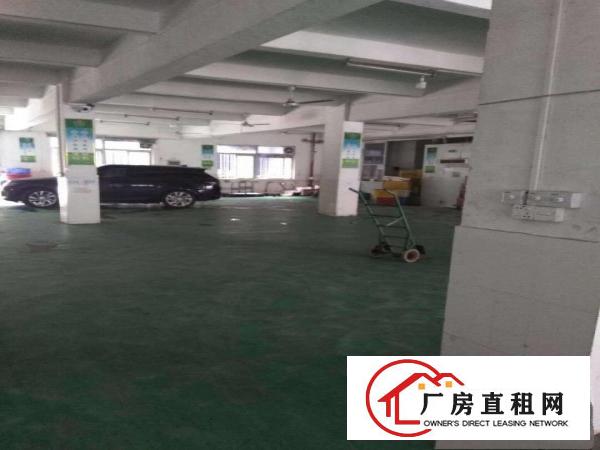 
		平湖白泥坑工业区1000平方精装修配送厂房出租，现成冷库
	