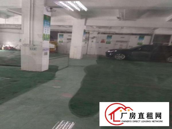 
		平湖白泥坑工业区1000平方精装修配送厂房出租，现成冷库
	