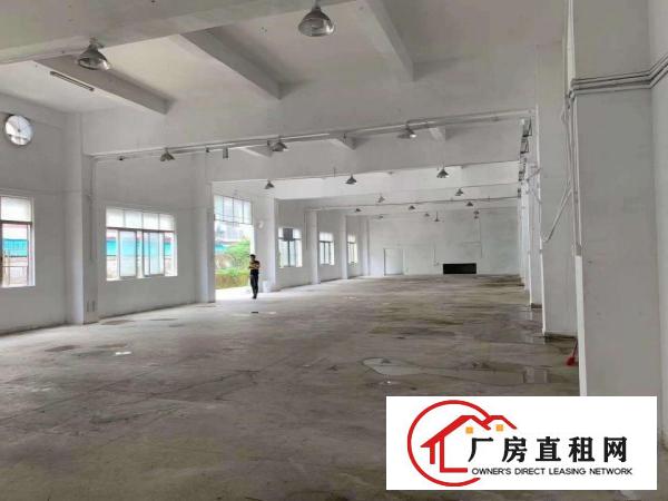 
		平湖白泥坑工业区1000平方精装修配送厂房出租，现成冷库
	