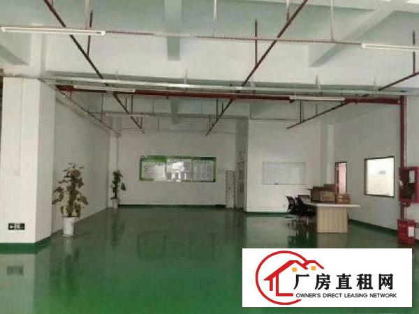 
		原房东形象高大上厂房来了2000平方1000平起分
	
