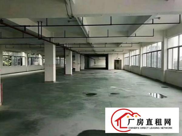 
		新田580平带装修有地坪漆办公室水电到位不要转让费
	