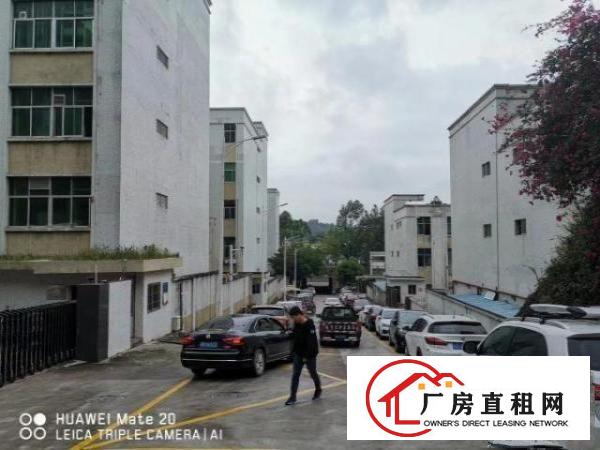 
		可注册，水电充足，房东直租可签长期
	