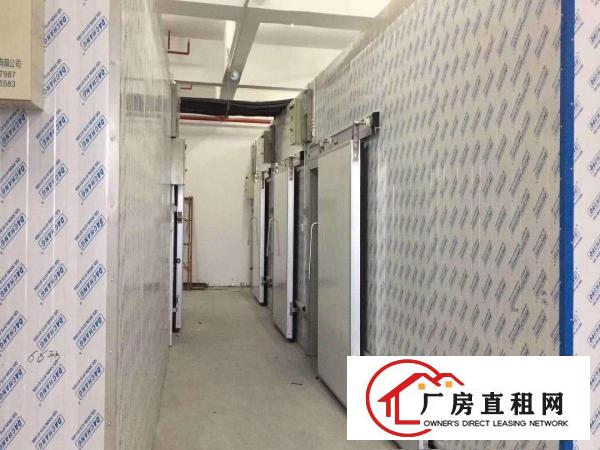
		平湖白泥坑工业区1000平方带冷库，净菜设备厂房出租，转租
	